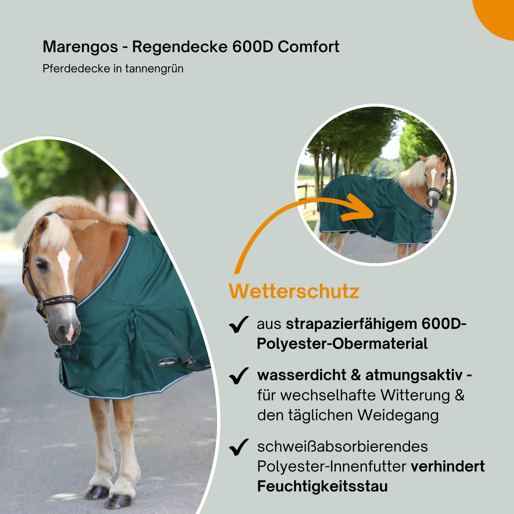 Marengos - Regendecke 600D Comfort – Pferdedecke mit Innenfutter – ideal als Weidedecke – wasserdicht & atmungsaktiv – mit Kreuzgurten, Gehfalten & Schweiflatz – Tannengrün – 165cm | Pferdedecke mit Innenfutter – ideal als Weidedecke – wasserdicht & atmun