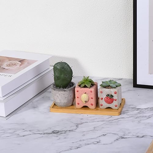 Miniatura 5 de PATIKIL Platillo para macetas de 7 x 3.5 pulgadas, paquete de 4 bandejas rectangulares de bambú para goteo de flores para el hogar e interiores