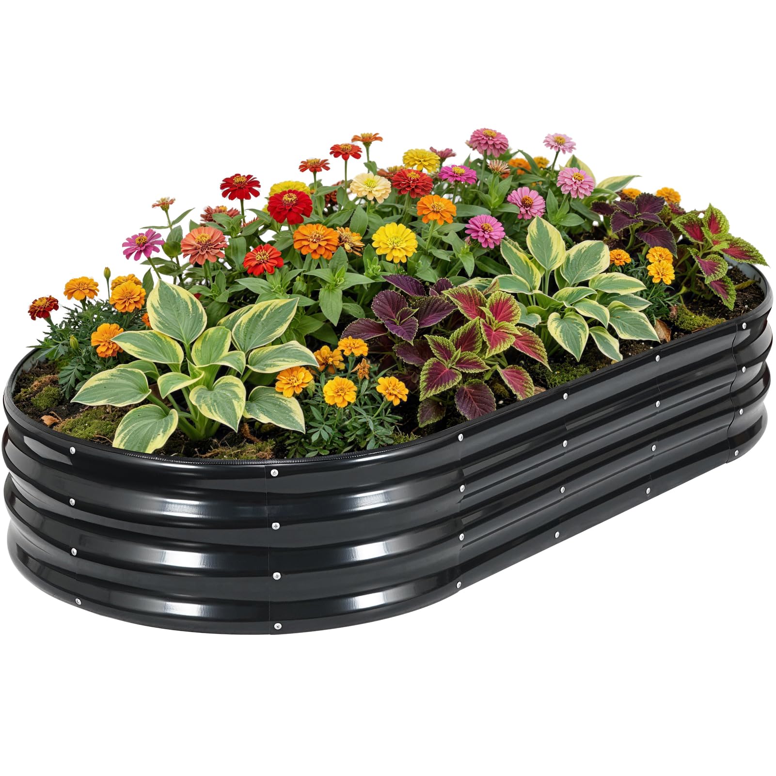 Jardinière surélevée galvanisée ovale 1,8x0,9x0,3m pour légumes et fleurs
