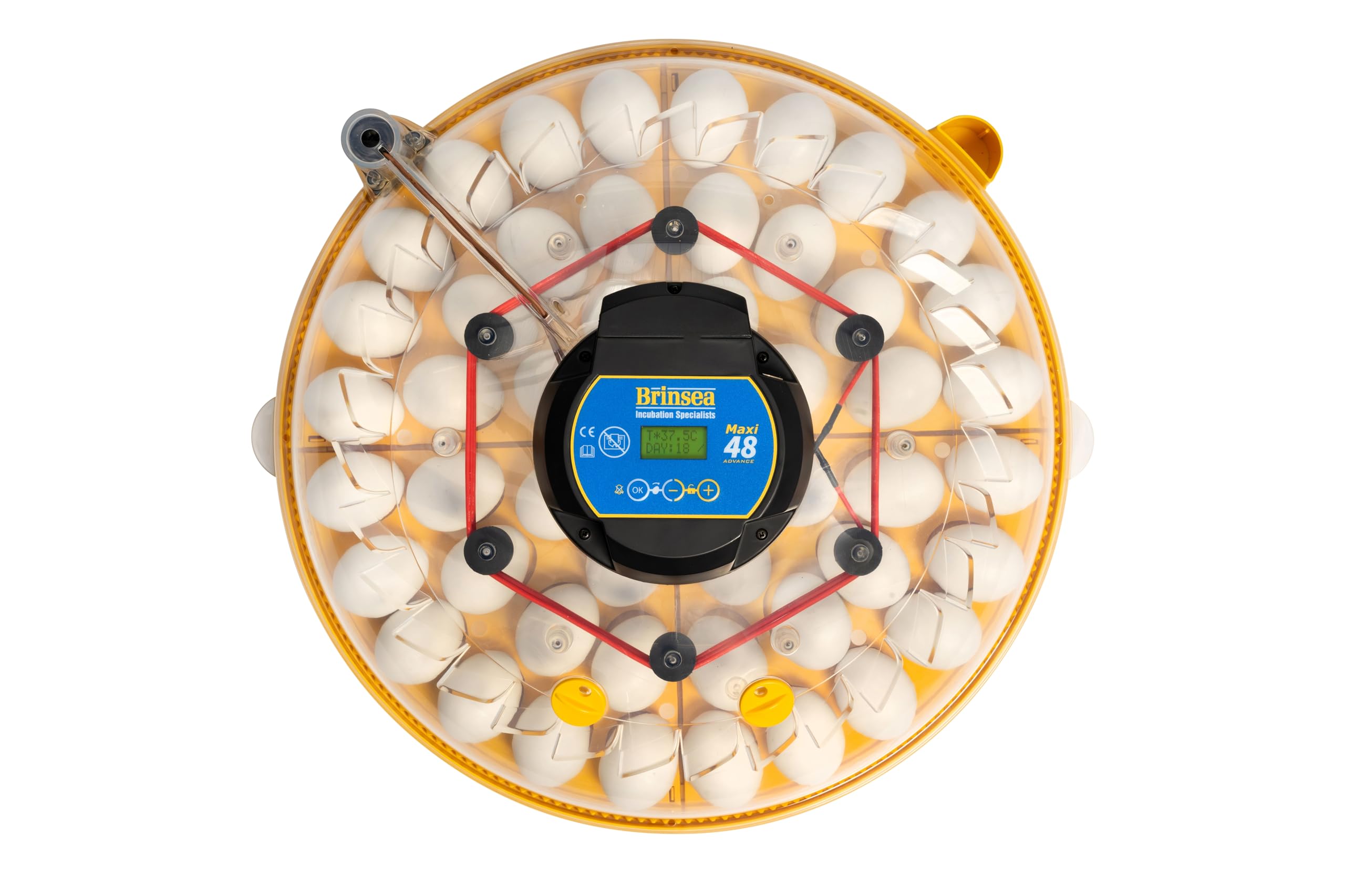 Incubadora BRINSEA Maxi 48 Advance - Incubadora para Huevos de Diferentes Especies de Ave - con volteo automático