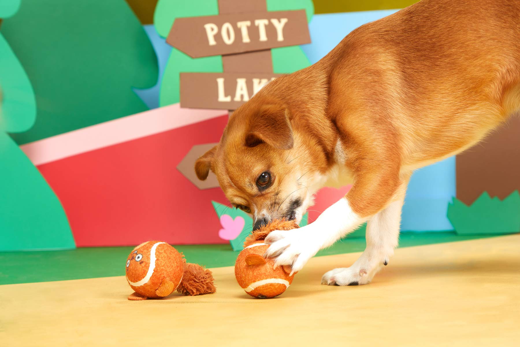 Barkbox Squeaker Ball Toys, Interactive Tennis Balls For