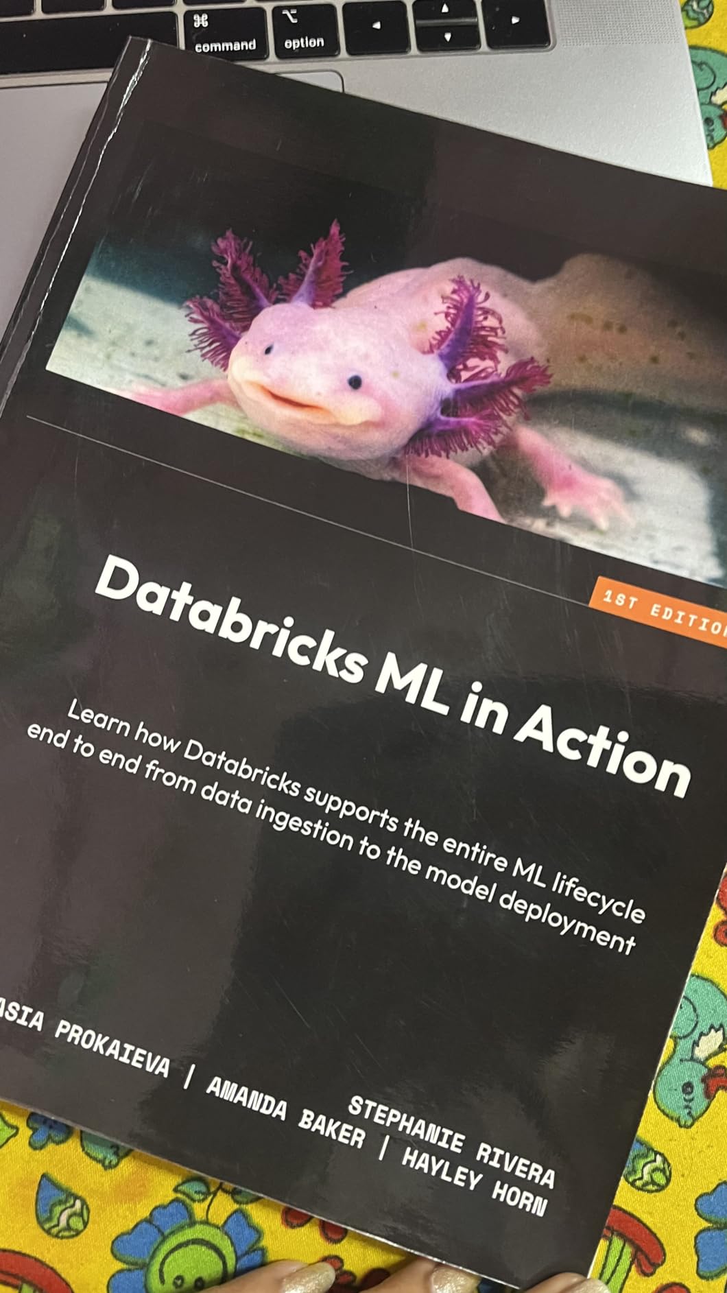 Buy Databricks ML in Action: Learn how Databricks supports the entire ...