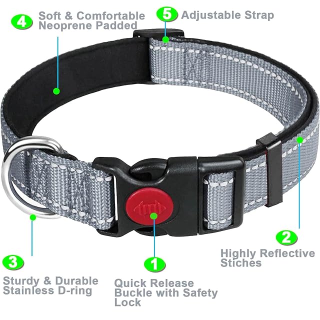 Foto 2 de 7 de Dog Collar, Reflective Adjustable Basic Dog Collar with Soft Neoprene Padding