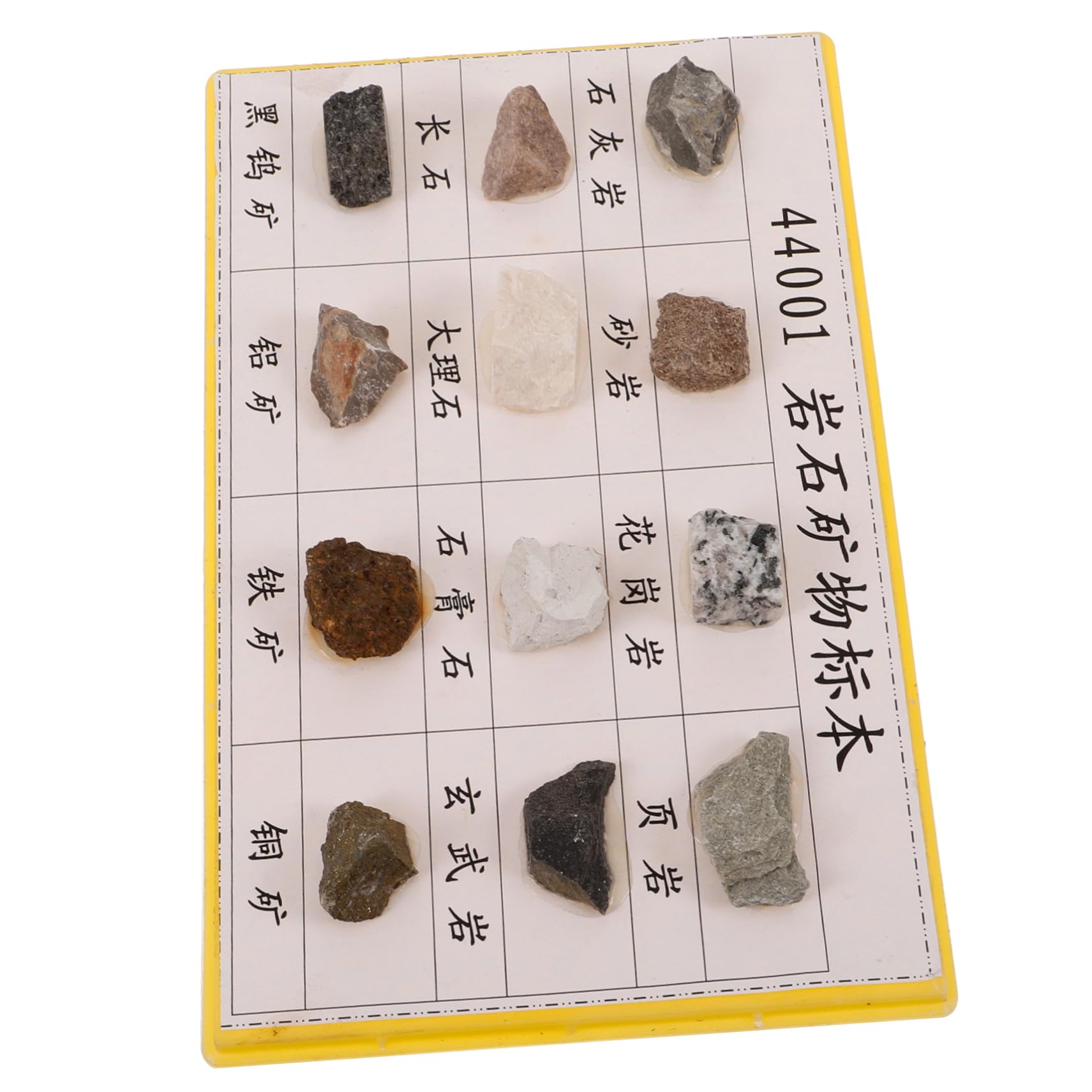 TOPPERFUN 12 Pcs Rock Specimen Set Student Sicorss Knowledee Showcase Mineral Rock Specimen Mineral Rock Kit Mineral Rocks Rock Specimen for Geology Classroom Rock Collection Plastic