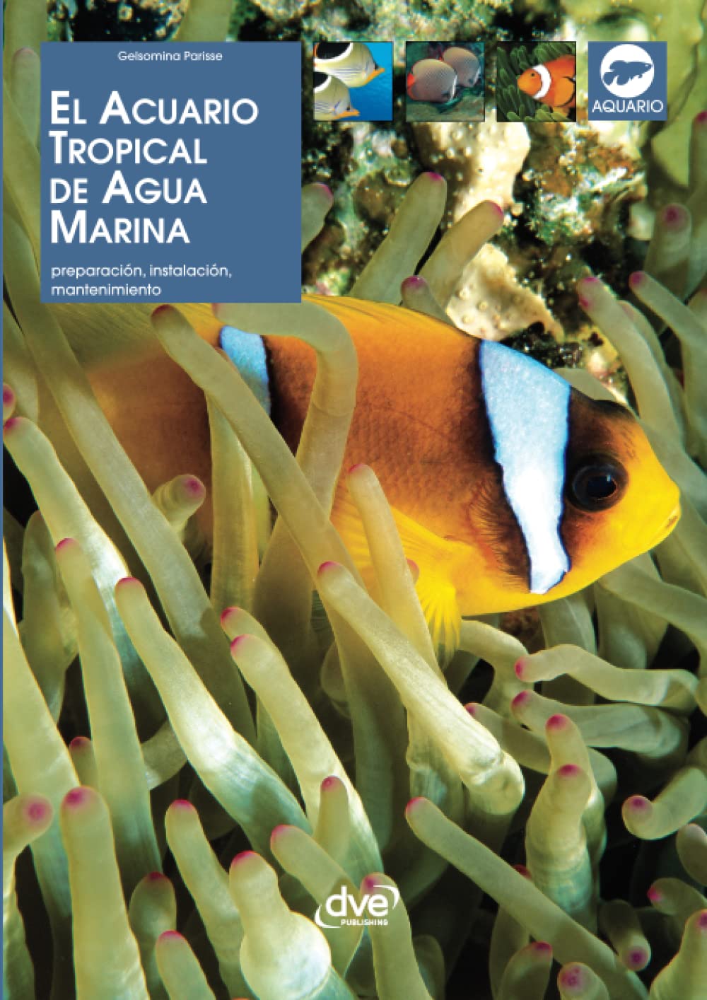 EL ACUARIO TROPICAL DE AGUA MARINA