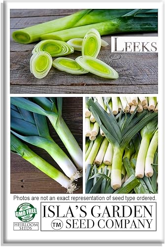 Semillas grandes de puerro con bandera estadounidense para plantar, más de 500 semillas de reliquia por paquete, semillas de jardín de Isla