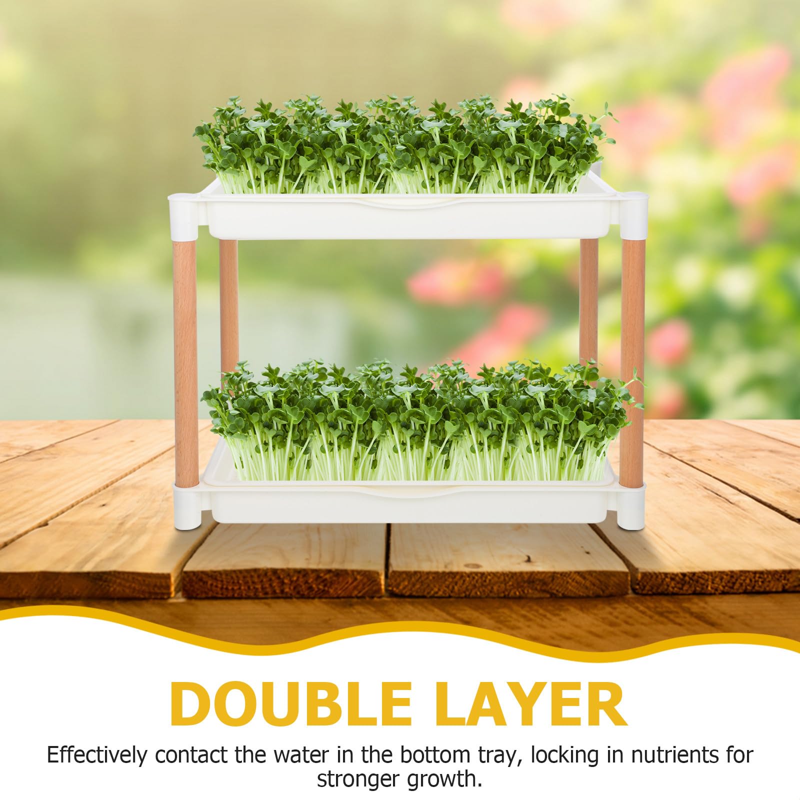 Beaupretty Keimschale Soillose Anzuchtplatte aus Dickem Pp Material Doppellagige mit Maschenlöchern für Microgreens und im und Esszimmer