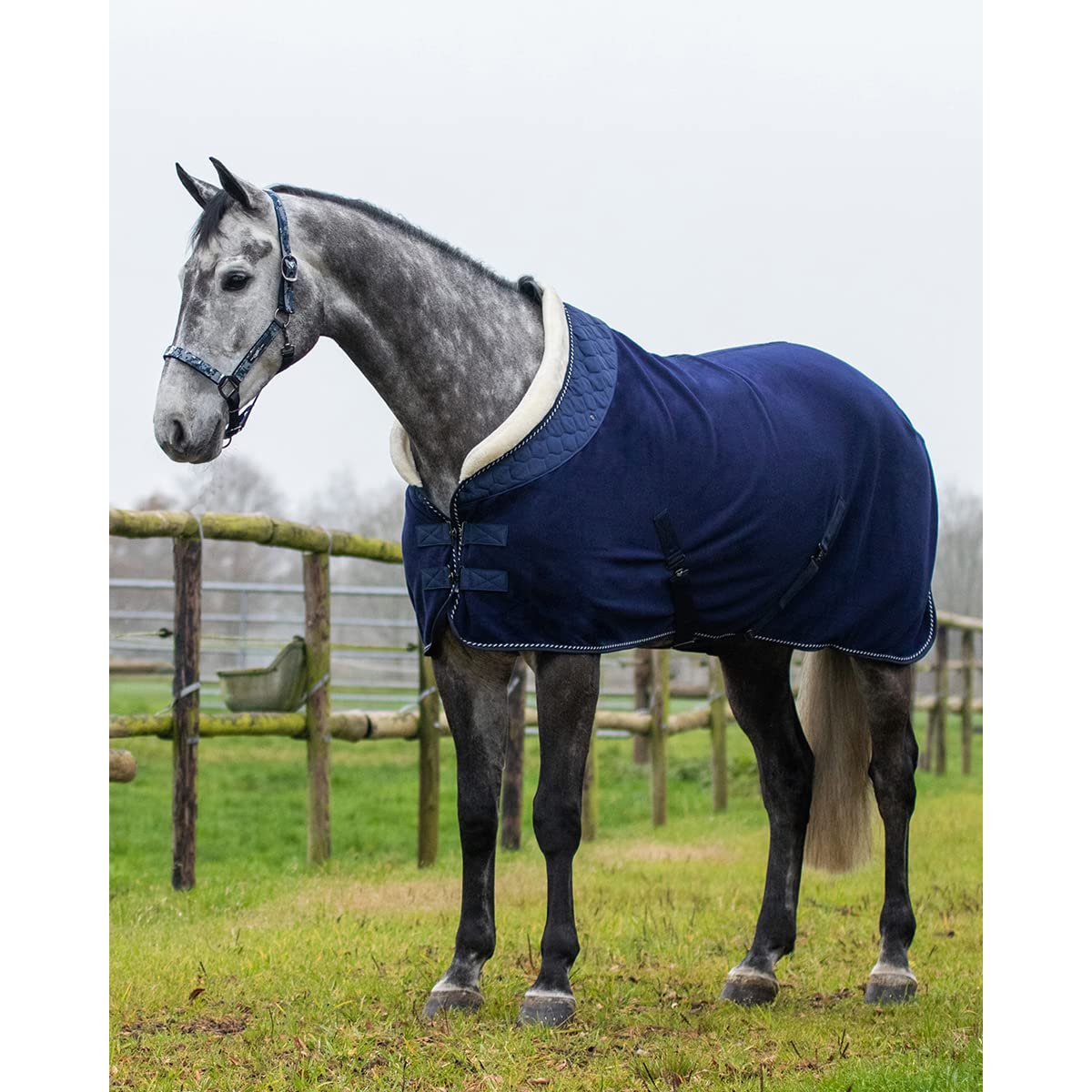 QHP Manta de Lana para Caballos Brilliance