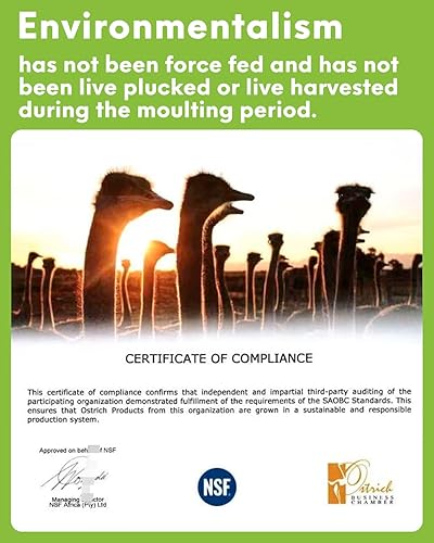 Miniatura 6 de NEWONG 30 plumas de avestruz moradas naturales a granel de 9-12 pulgadas (9.1-11.8 in) jarrón para manualidades, boda, hogar, fiesta, centros de