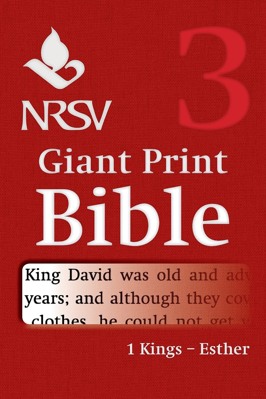 NRSV Giant Print Bible: Volume 3, 1 Kings  Esther - 9781316602287
