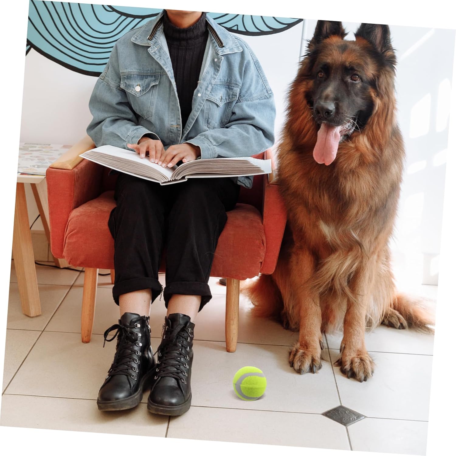 22pcs Dog Training Tennis Rubber Fetch for Small Medium Large Dogs Interactive Chew Toys for Active Play Agility Training