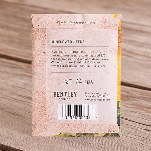 Miniatura 5 de Bentley Thank You Packet - Semillas de girasol - Paquete de 25 - Regalo perfecto de agradecimiento ecológico - Sin OMG