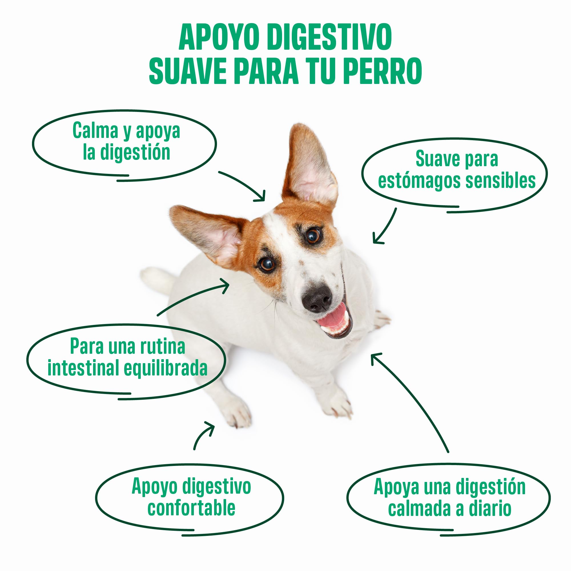 ivvi Ulmus Snacks Digestivos para Perros con Corteza de Olmo, Calabaza y Linaza – Snacks Blandos con Pollo, Apoyo Digestivo Suave, para Estómagos Sensibles, 60 Snacks, 270 g