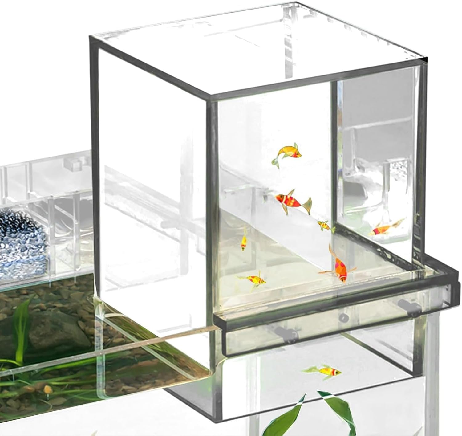 ACQUARIO DA PARETE Acquario Per Pesci Acquario Betta Vaso Rotondo Di - Foto 9