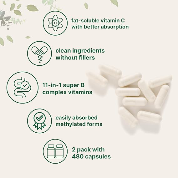Micro Ingredients 2 Pack Pure Methylated B Complex, 480 Capsules | 11-in-1 Formula with B12, Thiamin, Folate, Inositol, Choline, Vitamin C | Filler Free | Non-GMO