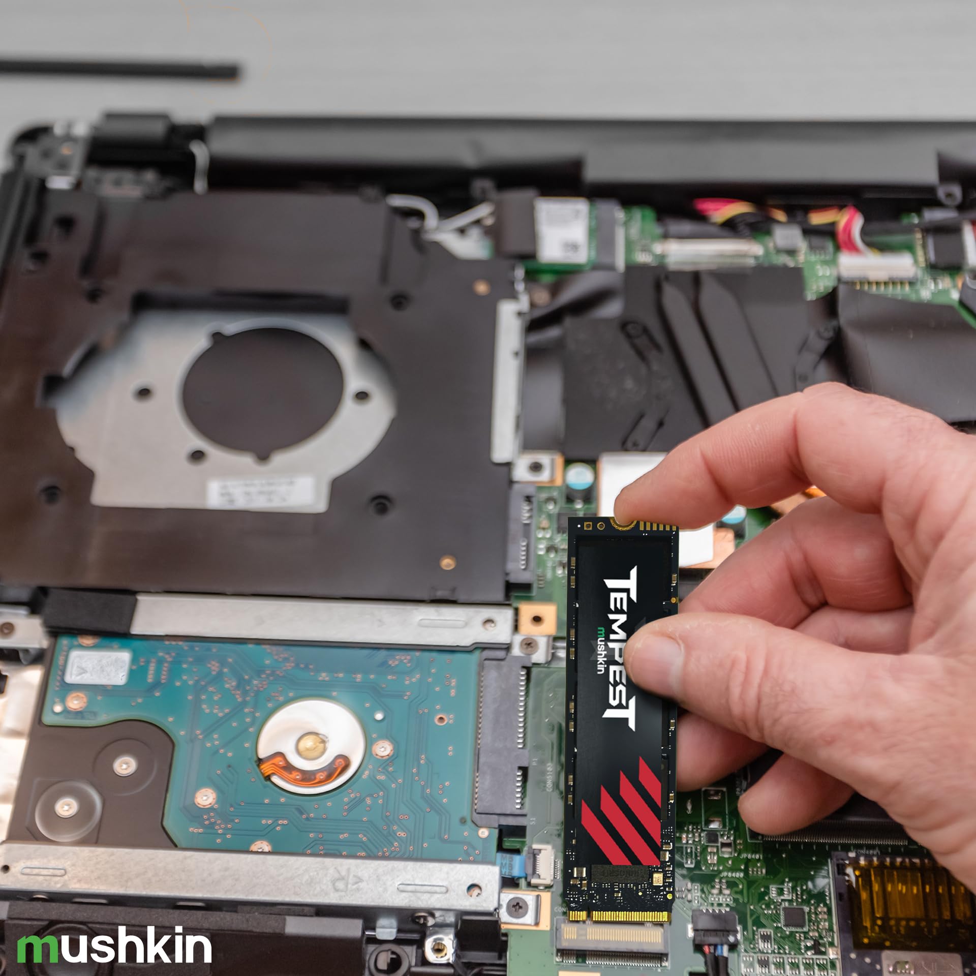 Amazon.com: Mushkin Tempest – 2TB PCIe Gen3 x4 NVMe 1.4 – M.2