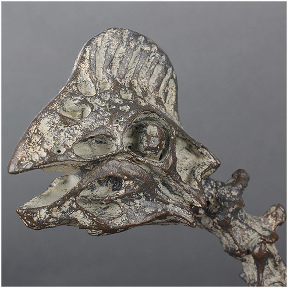 Modelo De Resina De Dinosaurio Modelo Oviraptor - Modelo De Esqueleto De Dinosaurio De Resina Cretácica Artesanía - Escultura Decorativa De Personalidad Regalo De Esqueleto De Dinosaurio Fósil
