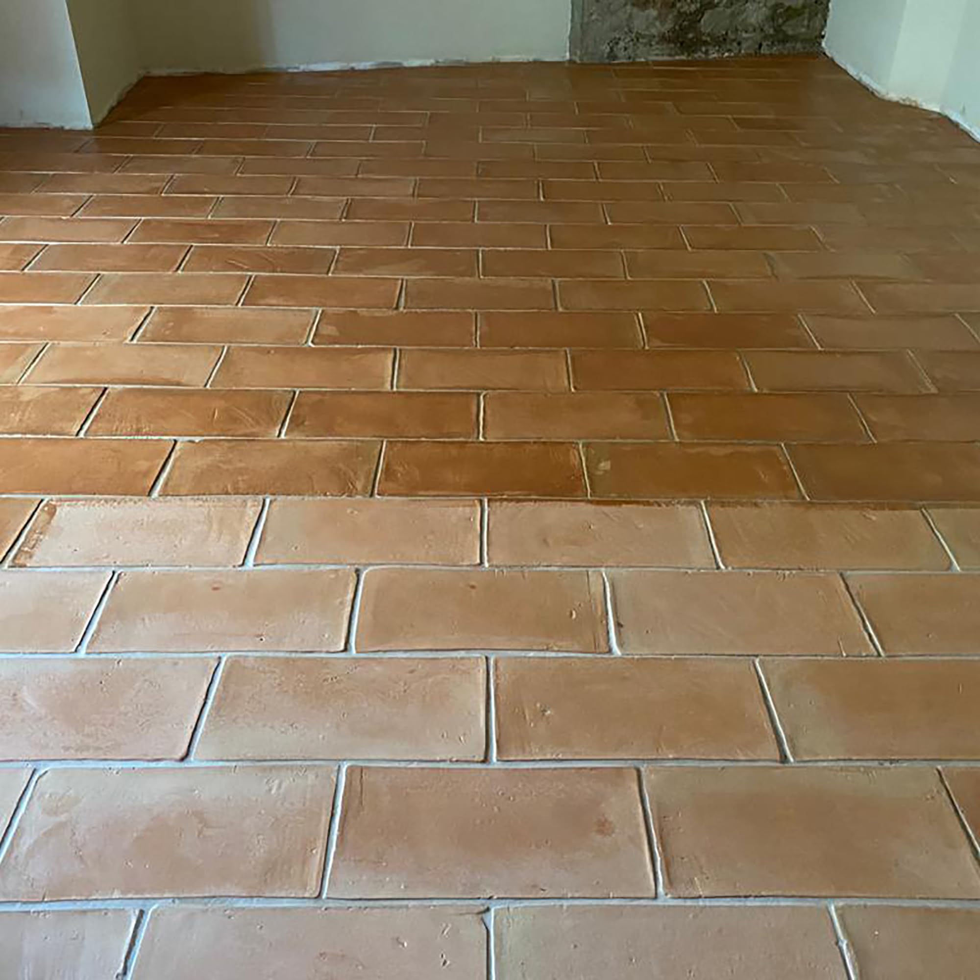 Monestir REMEMBER PROTECTOR ANTIMANCHA EFECTO MOJADO 1L MONESTIR