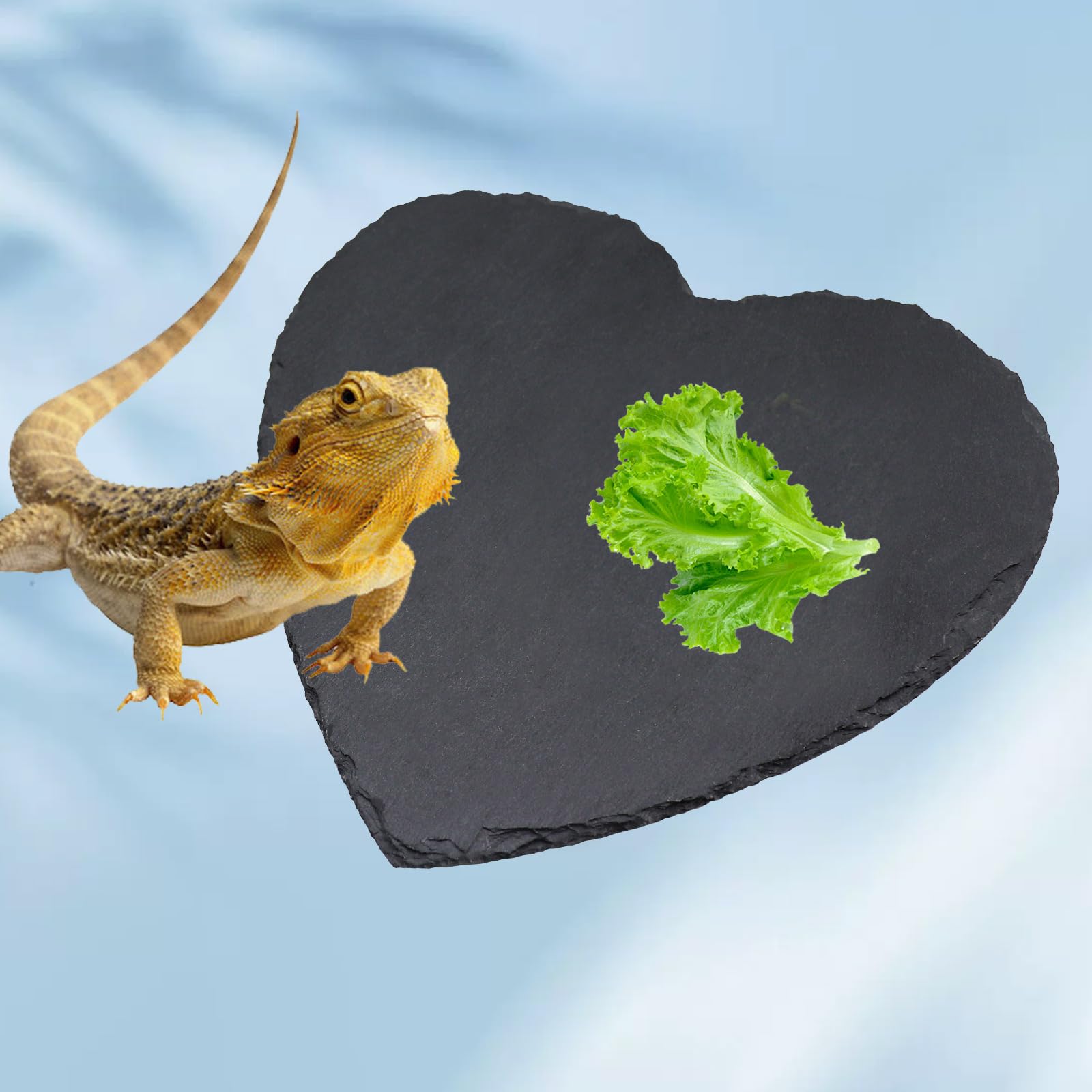 Dnoifne Reptile Basking Platform - 20 × 20 cm Heart-Shaped Natural Rock Feeding Dish - Image 3