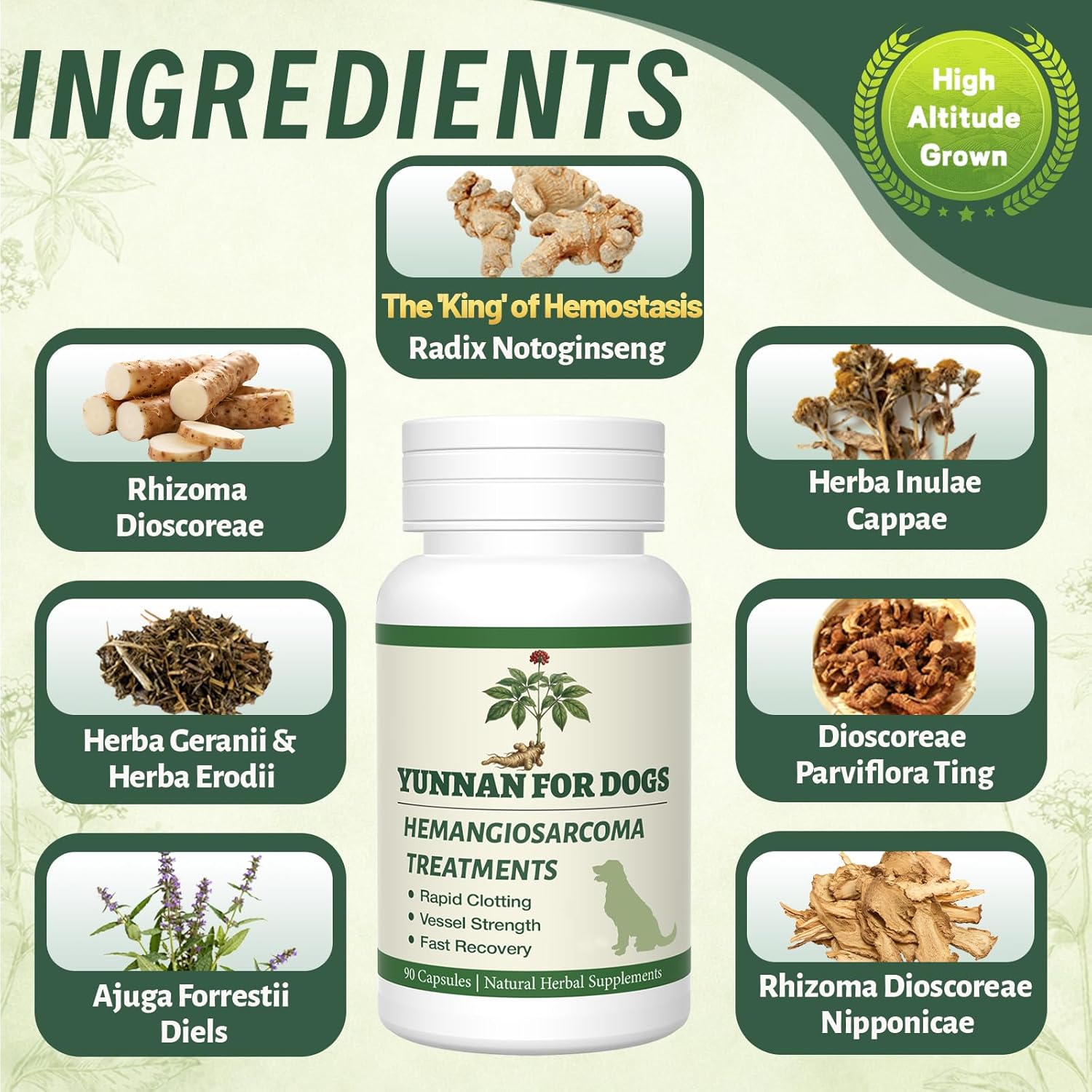 Sanqi Capsules for Dogs – Natural Herbal Quick Stop Bleeding & Blood Support for Hemangiosarcoma, Hemoabdomen, Pericardial Effusion, Cancer Bleeding, Ulcers & Bloody Stools – 90 Capsules