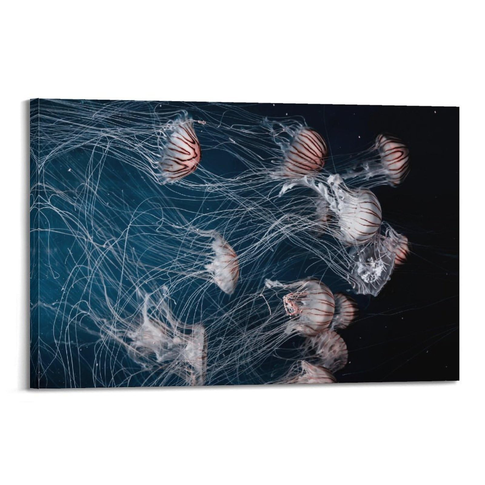 CXHJCA Sea Life Poster Chubby Jellyfish Poster Decorative Painting Canvas Wall Posters And Art Picture Print Modern Family Bedroom Decor Posters 08x12inch(20x30cm)