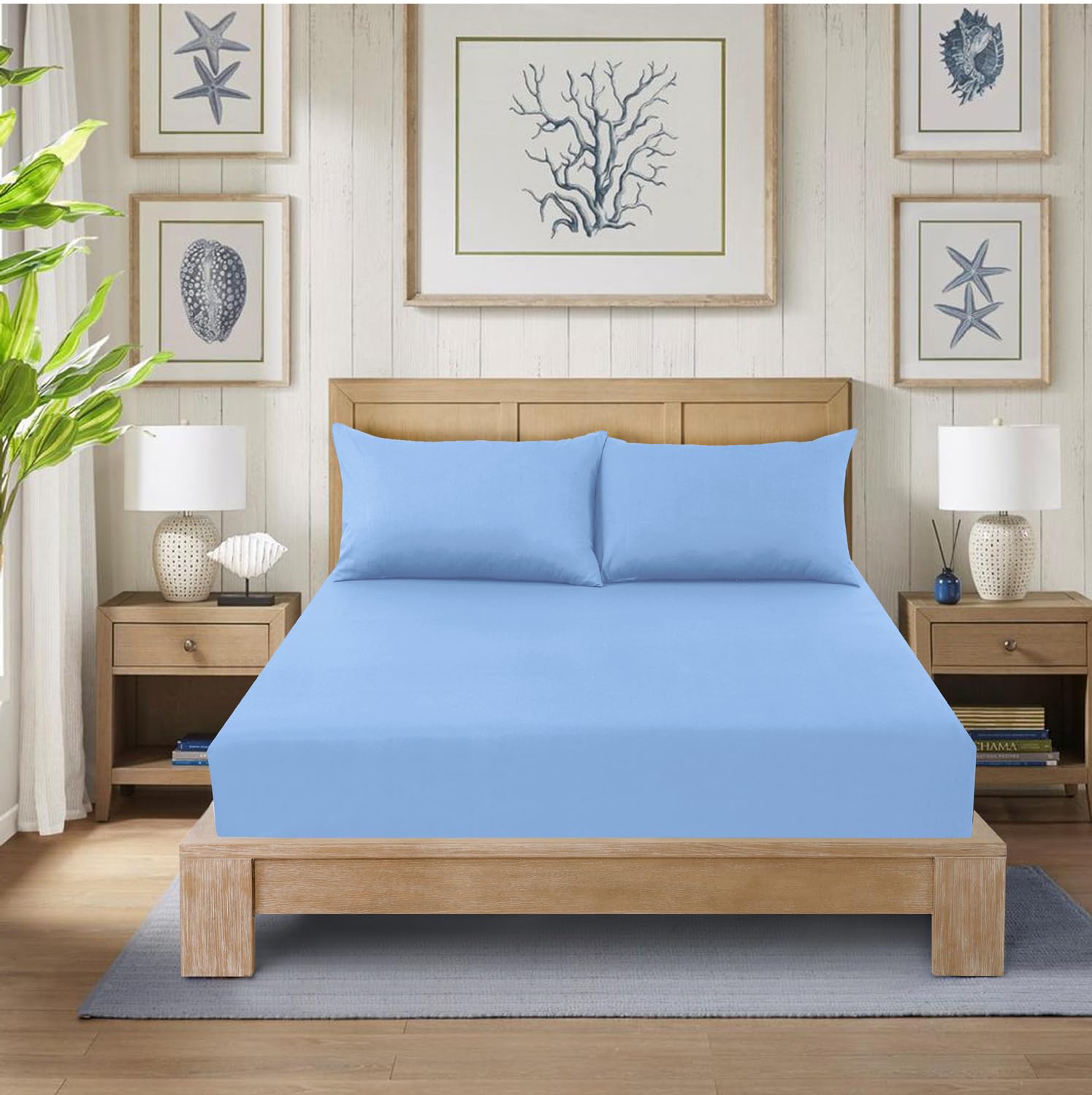 CHARKHAH Polycotton Fitted Sheet for Single Double King Super King Bed 200  Thread Count Anti Wrinkle Plain Bedding 25 cm Extra Deep Fitted Sheets Cover  with Elastic Edges (Sky-Blue, King) – BigaMart, image size:1495x1500