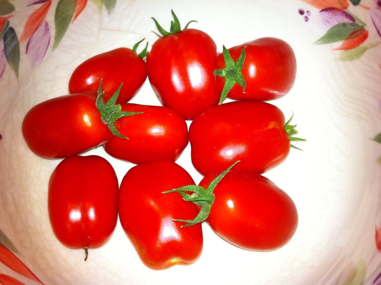 Amazon.com : San Marzano Bush Tomato - Easy Picking - Prolific