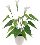16.5 Inch Realistic Artificial Anthurium Flower Red Fake Flamingo Flower Simulated Andraeanum Plant Pot Decoration Table Photography Bonsai | Faux plastic bouquet, Green leaf plants model, Pot decoration centerpiece, Dining table photography bonsai p