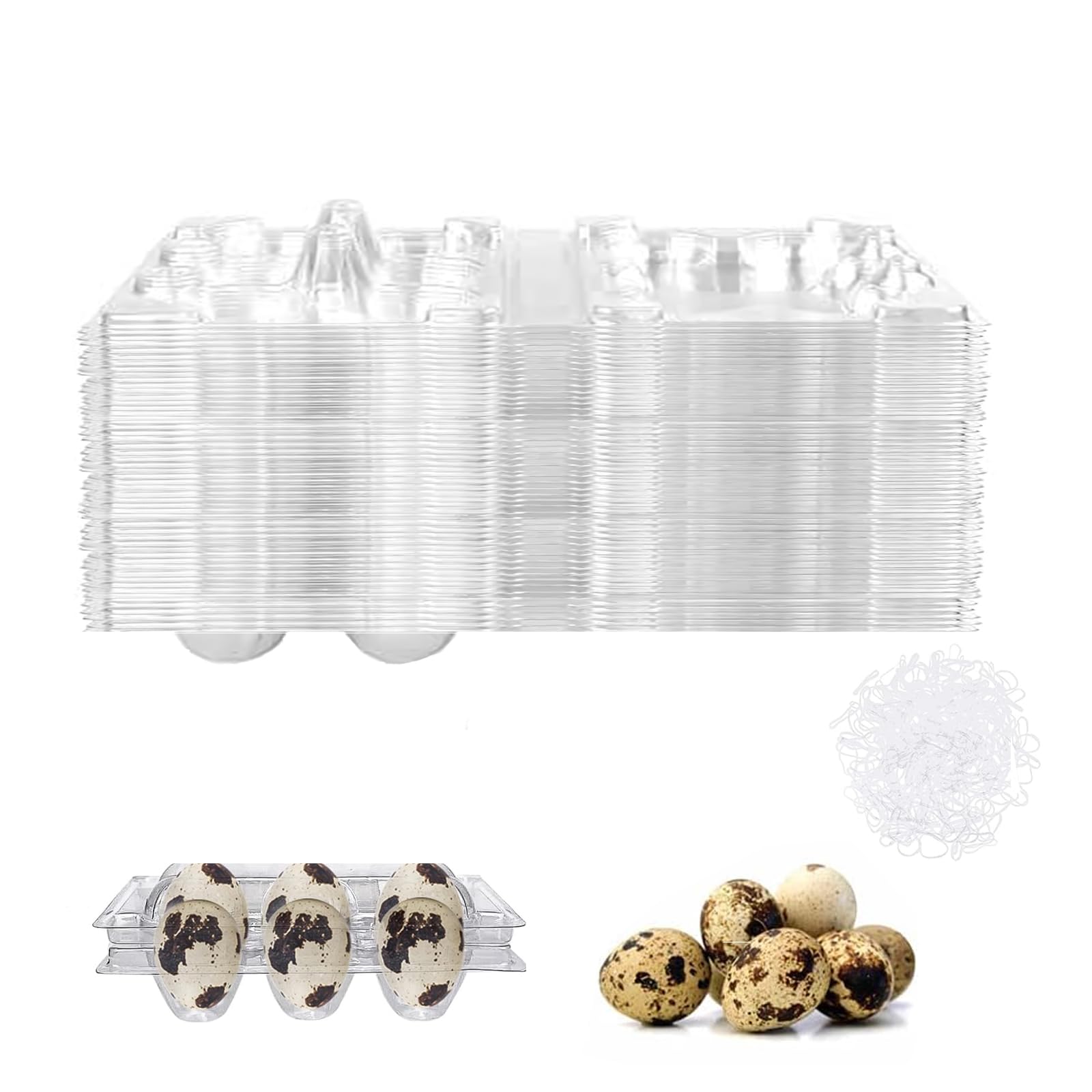 Pack of 50 quail egg boxes, 6 grids, quail egg boxes, egg trays with lid with 100 pieces elastic band
