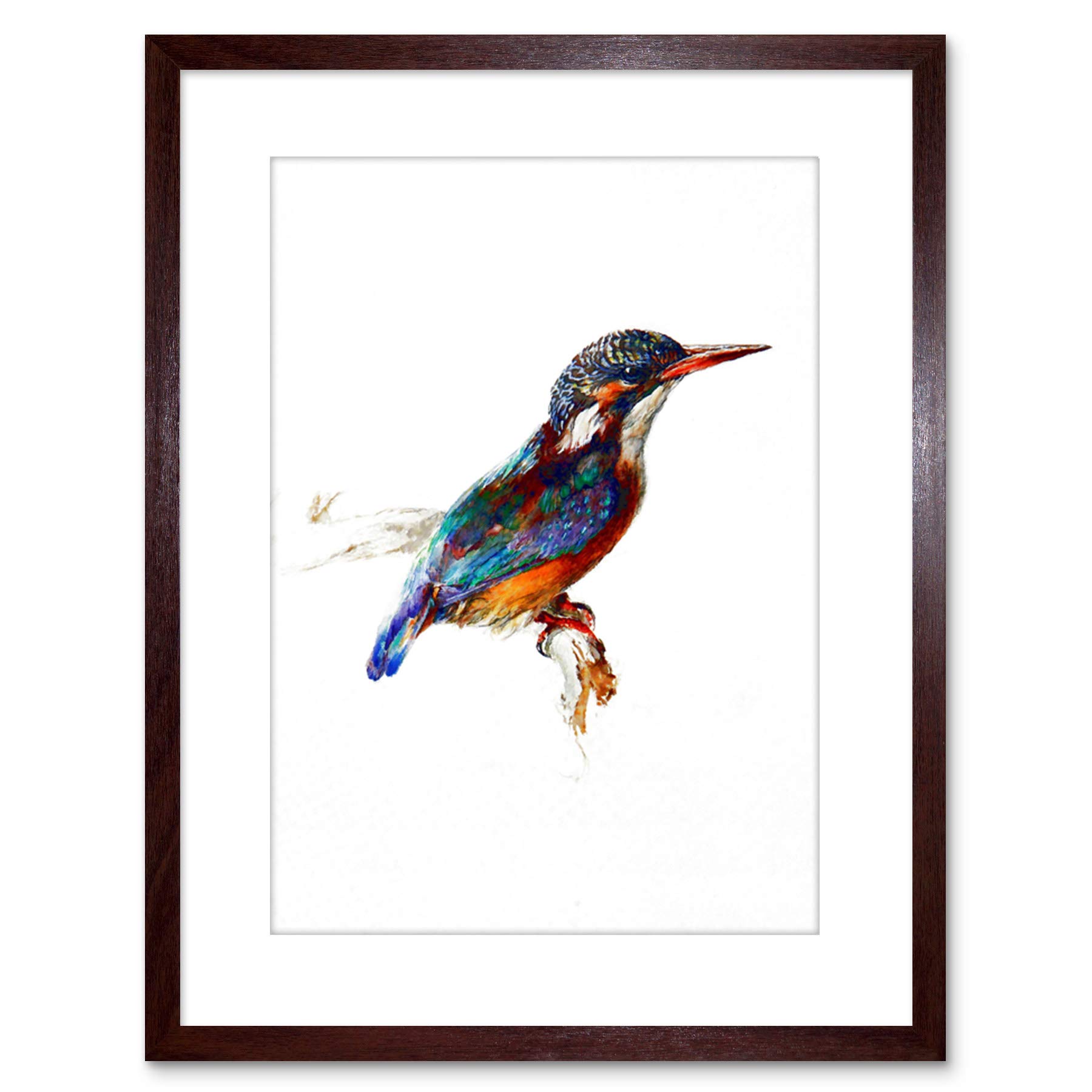 Wee Blue Coo PAINTING BIRD KINGFISHER RUSKIN FRAMED ART PRINT POSTER F97X12021