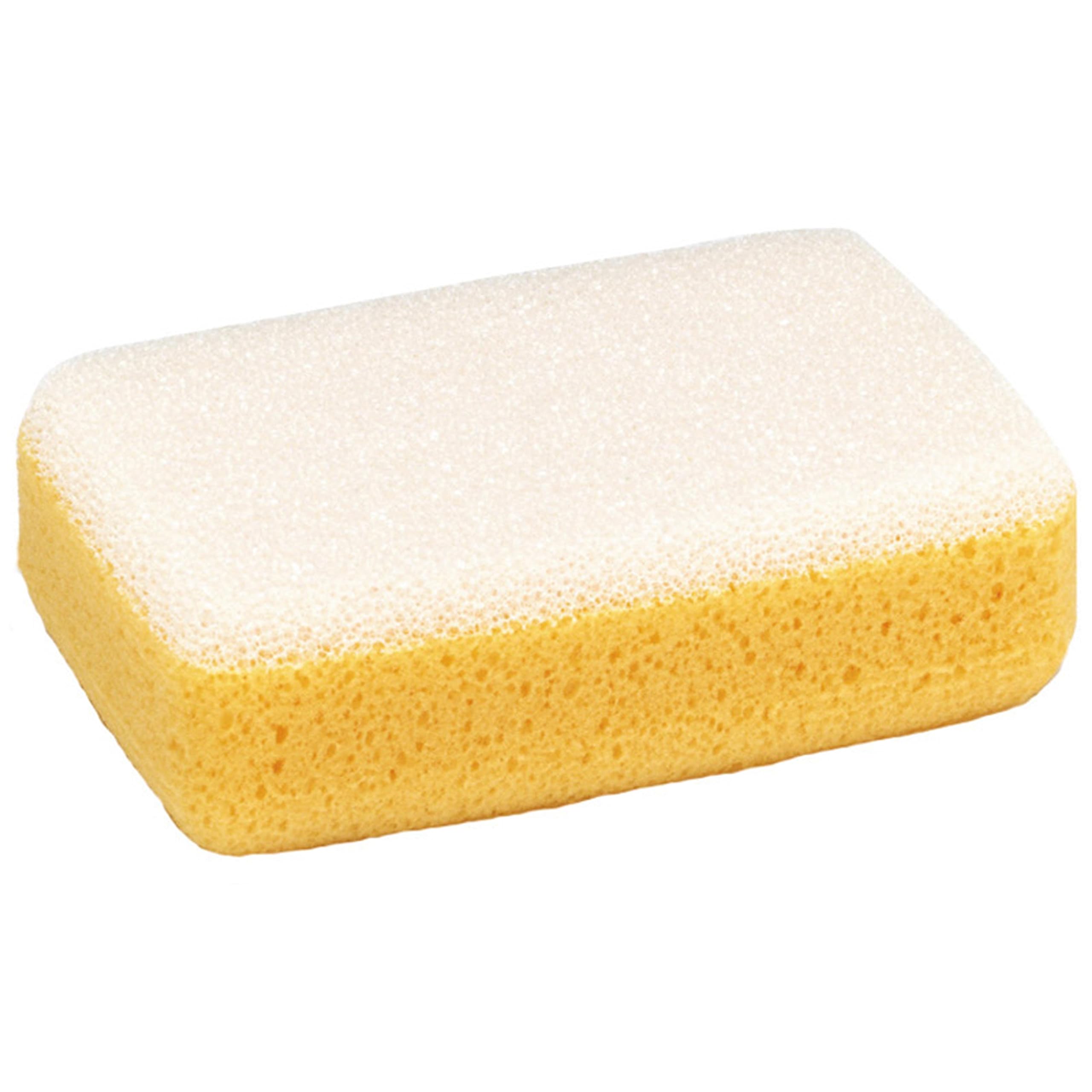 Marshalltown | Large Scrub Sponge Hydra | Dual-Sided |
