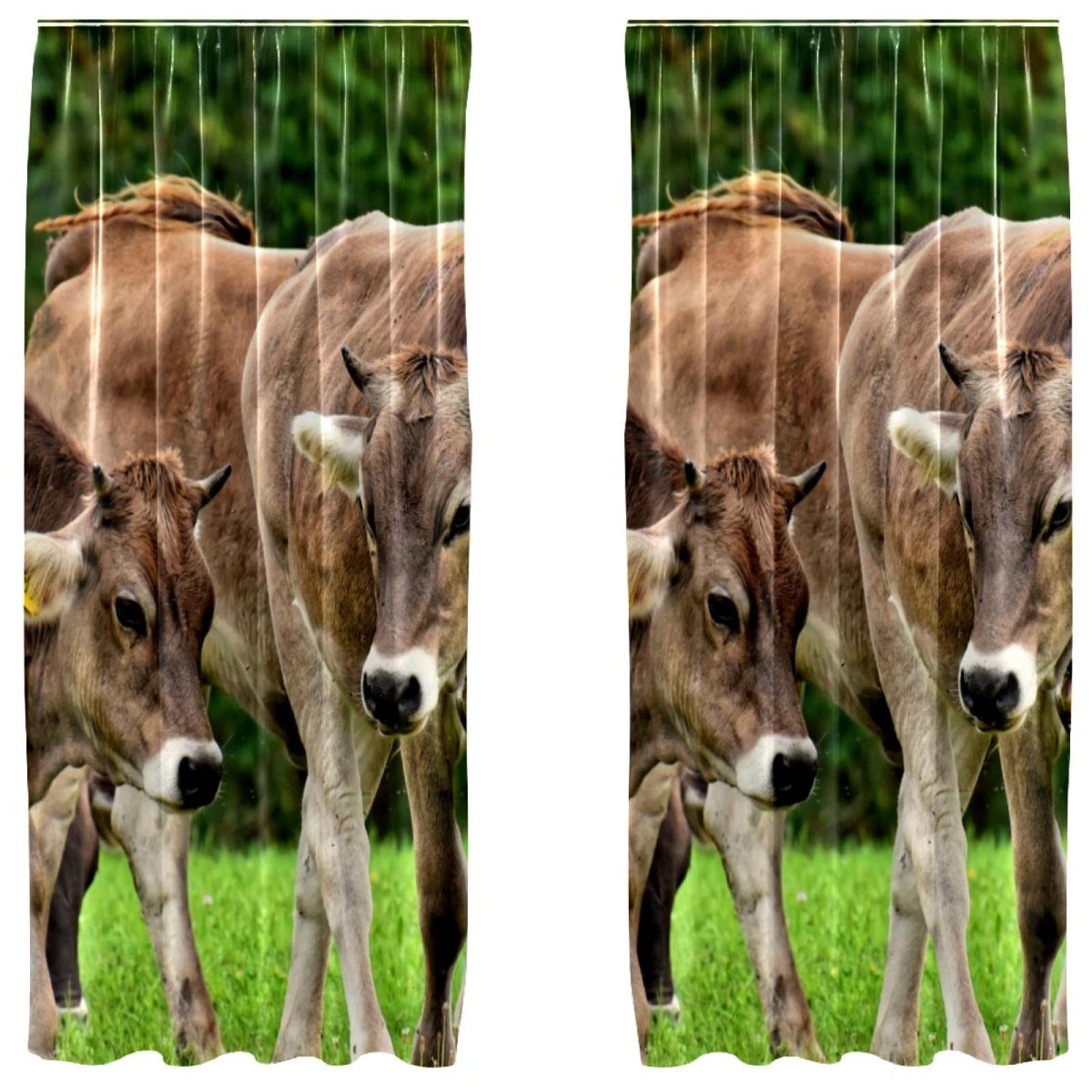 Rideaux de chambre motif vache pour une ambiance cottage