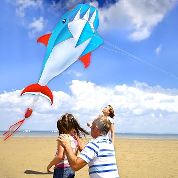 HENGDA KITE 3D Kite for Kids and Adults,Easy to Fly,Excellent Fabric and Structure Design,Huge Frameless Soft Parafoil Giant Whales Dolphins Kite
