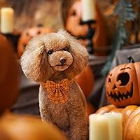 Vista 71 de Maca Bates Fall Maple Leaf Dog Collar with Sailor Bow Tie for Extra Small Girl,Boy,Autumn Foliage Puppy Collars with Bowtie Breakaway Adjustable