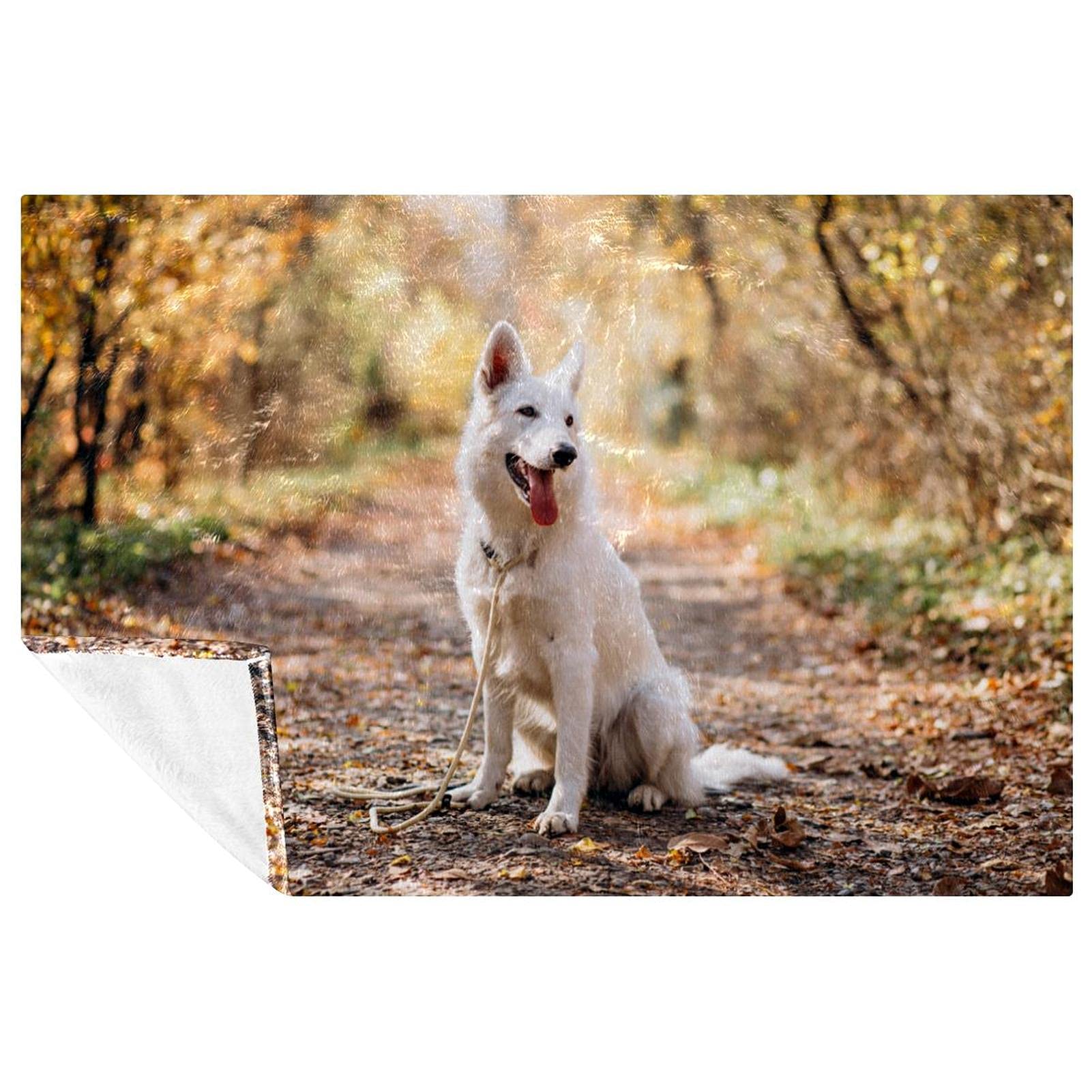 Couverture chien blanc automnal pour pique-nique, camping et plage