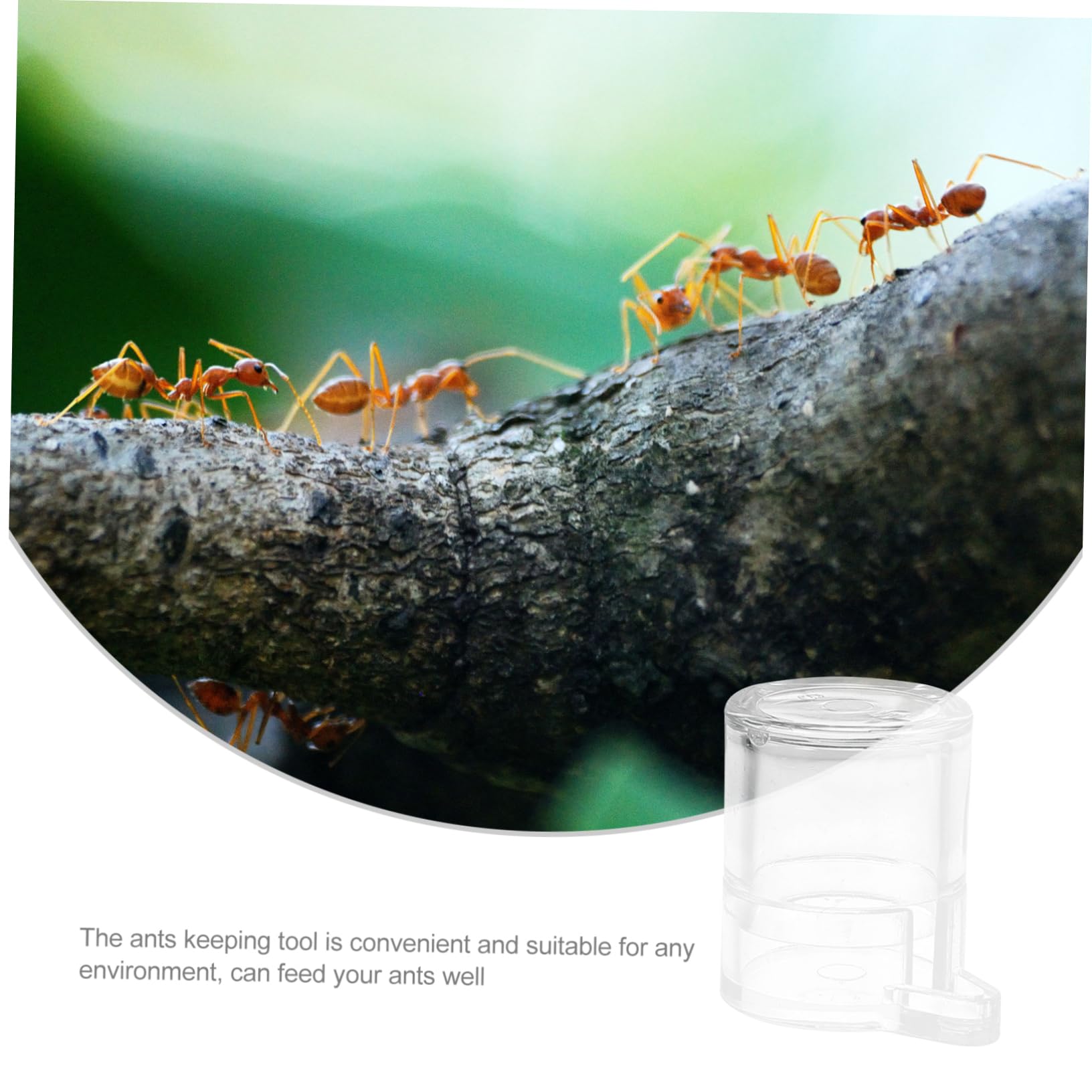 Distributeur D'Eau Transparent Pour Élevage De Fourmis Et Grillons | Abreuvoir Anti-Noyade 12 Ml