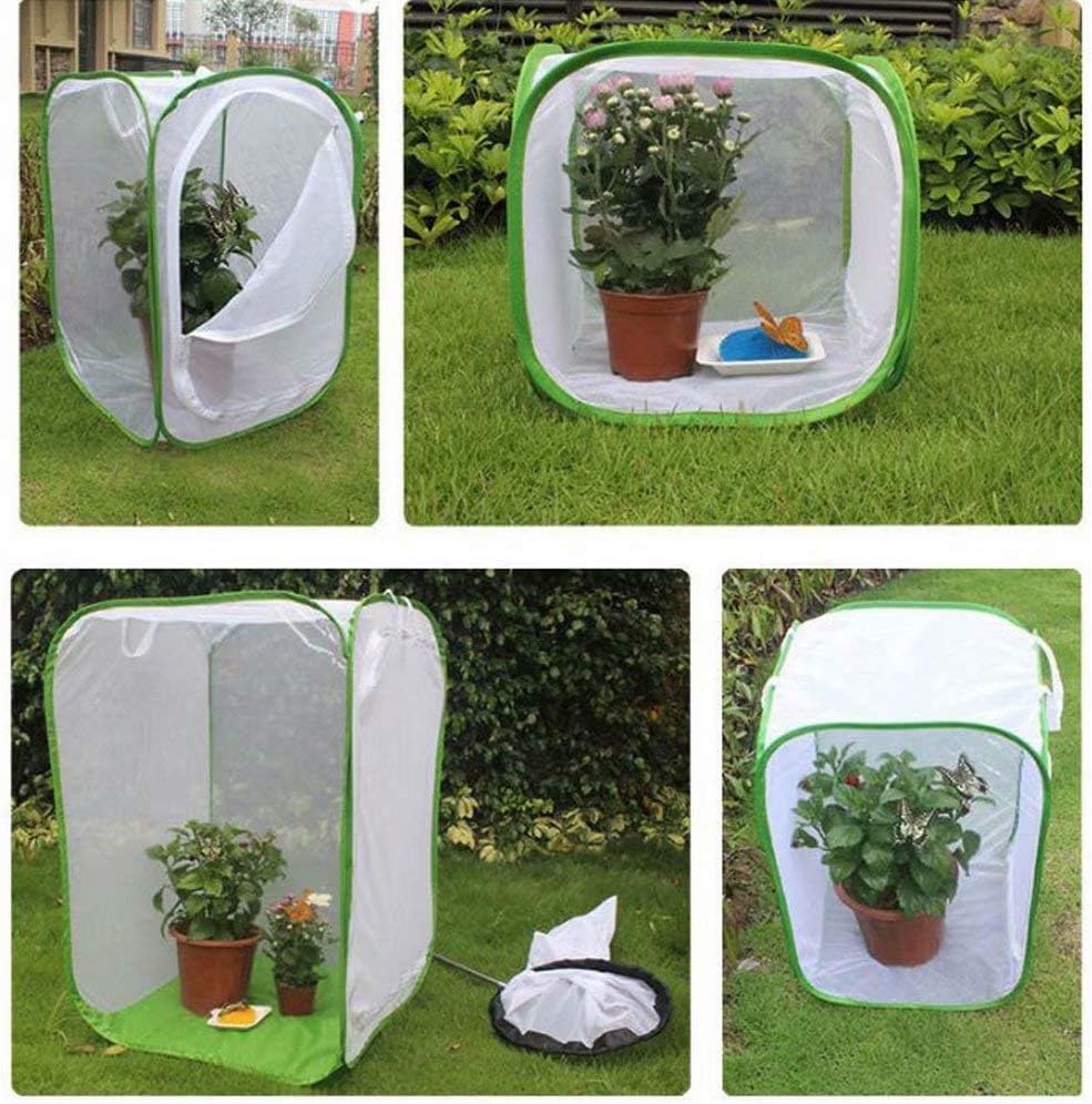 Amazon 蝶 虫かご 昆虫飼育箱 昆虫ケージ 折りたたみ 飼育ケース むしかご 標本 採集 昆虫観察 透明 虫かご 標本 採集 爬虫類 蝶 トンボ シルクワーム 生息地 N A 飼育ケース アクセサリー 通販