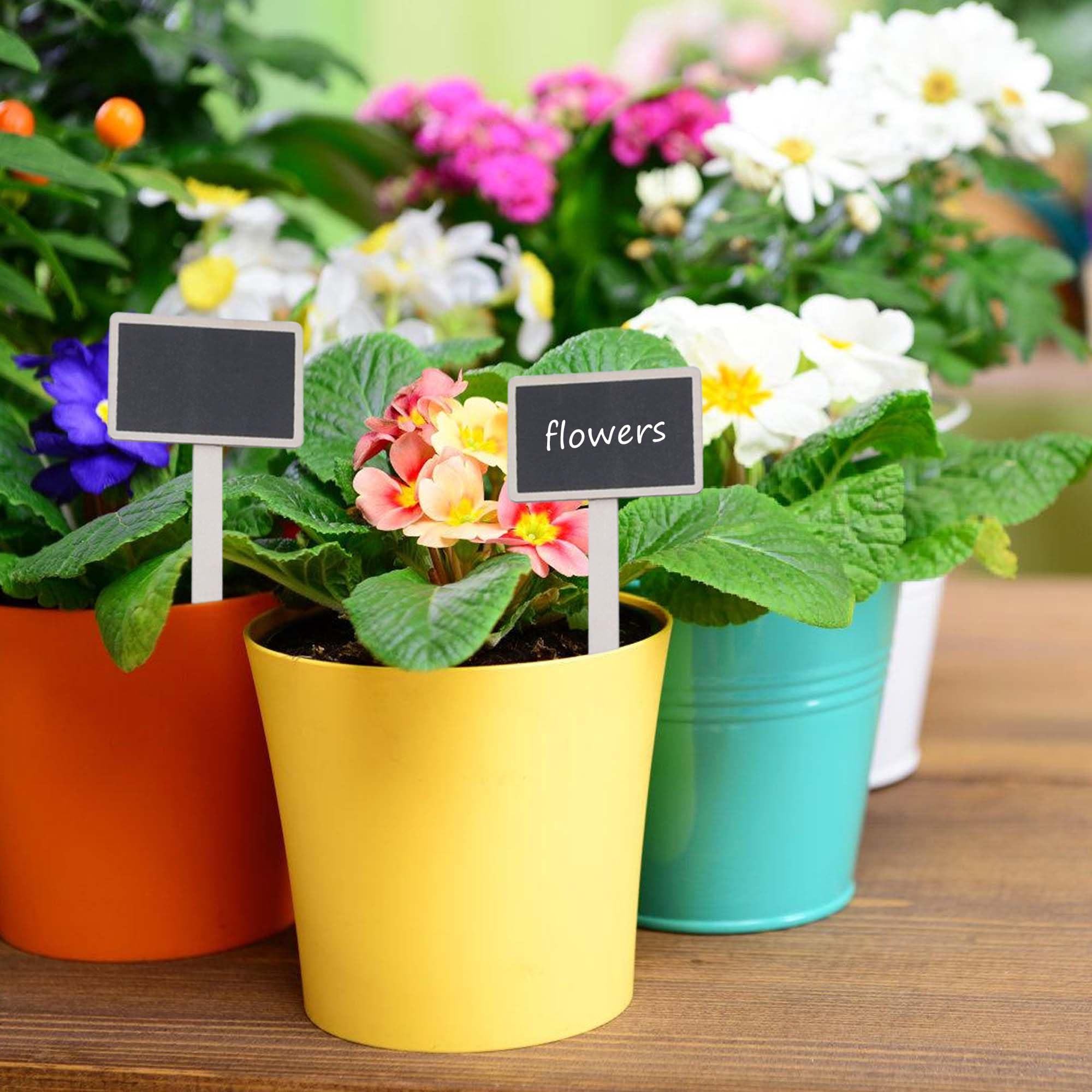 160 Stück Pflanzschilder Set - Pflanzenetiketten In 3 Formen, Wetterfest