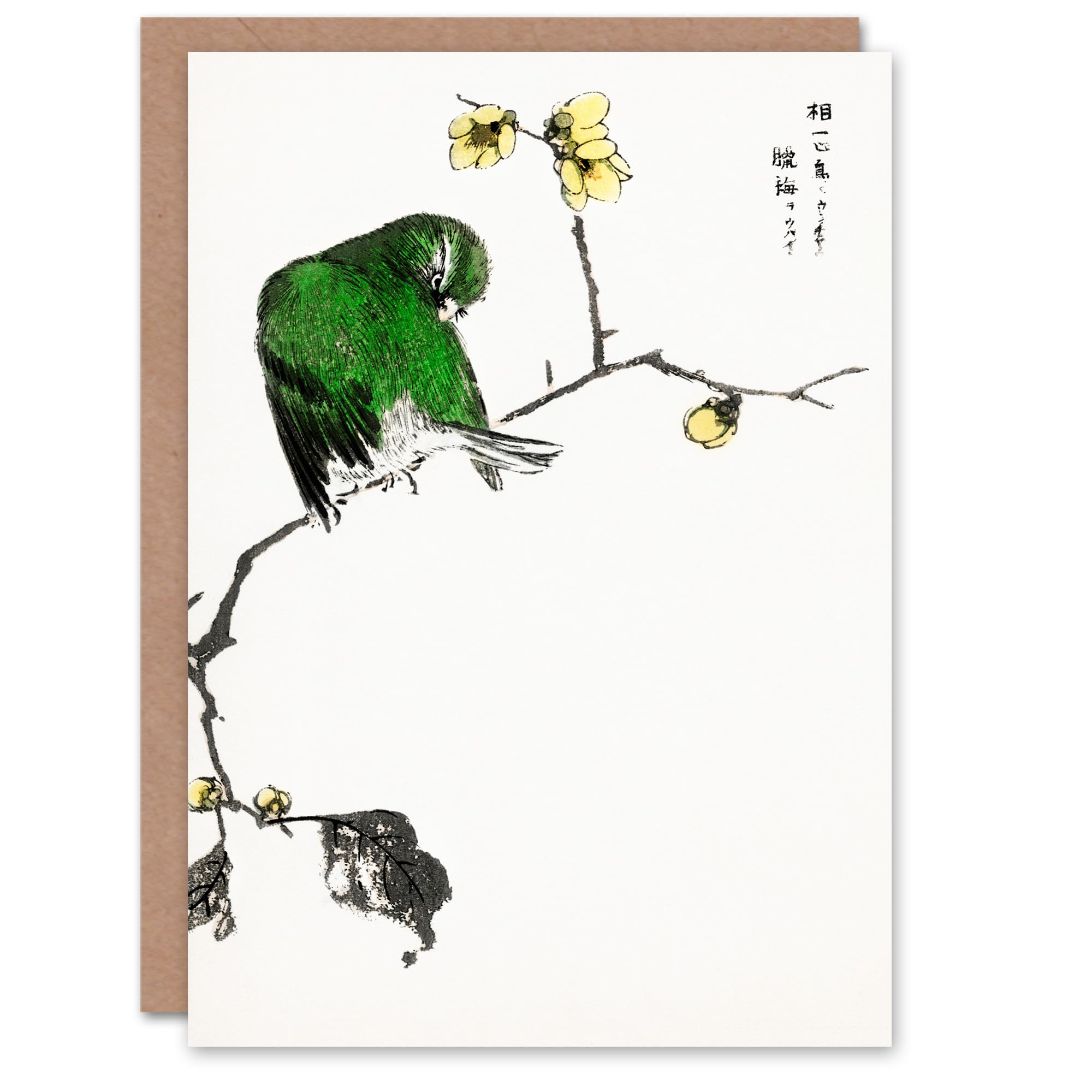 Artery8 Numata Kashu Art Card Fairy Pitta and Japanese Allspice