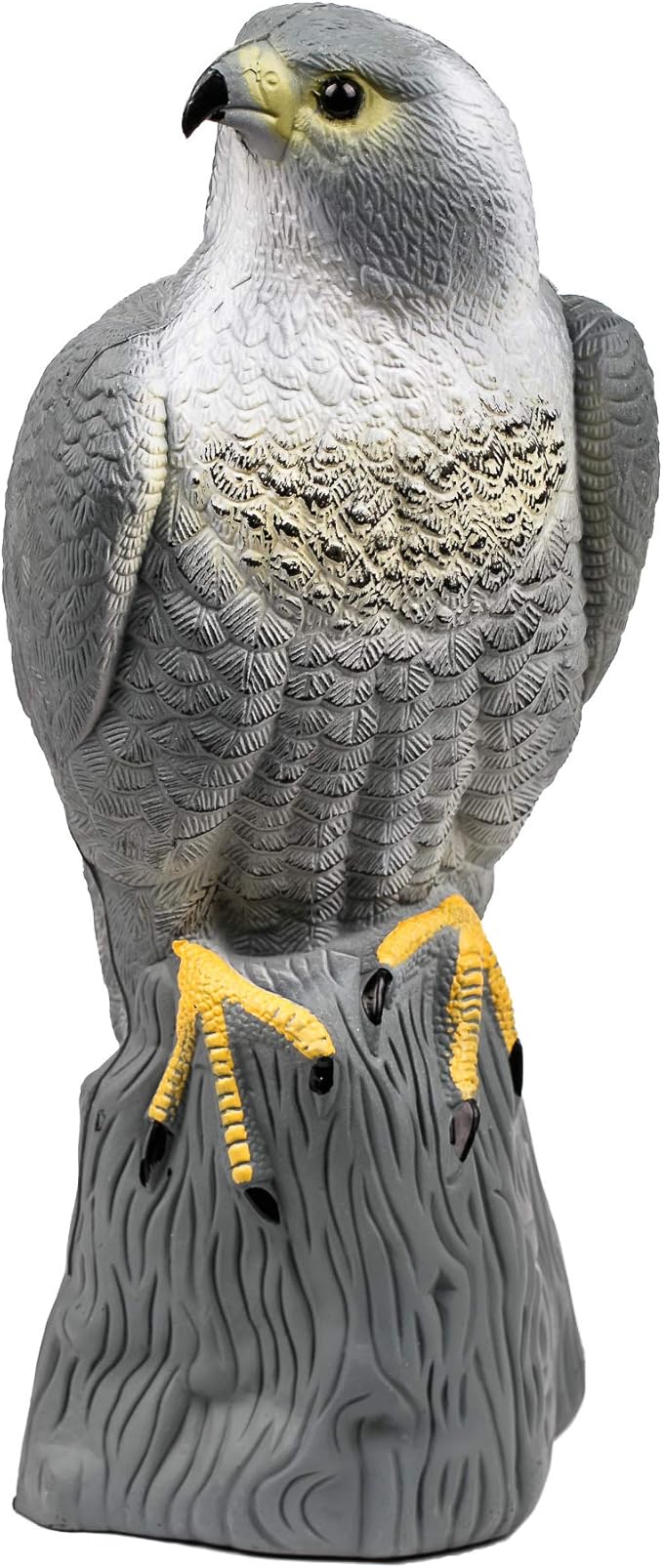 BFG Pigeon Deterrent Bird Scarers for Gardens UK, Falcon Bird of Prey