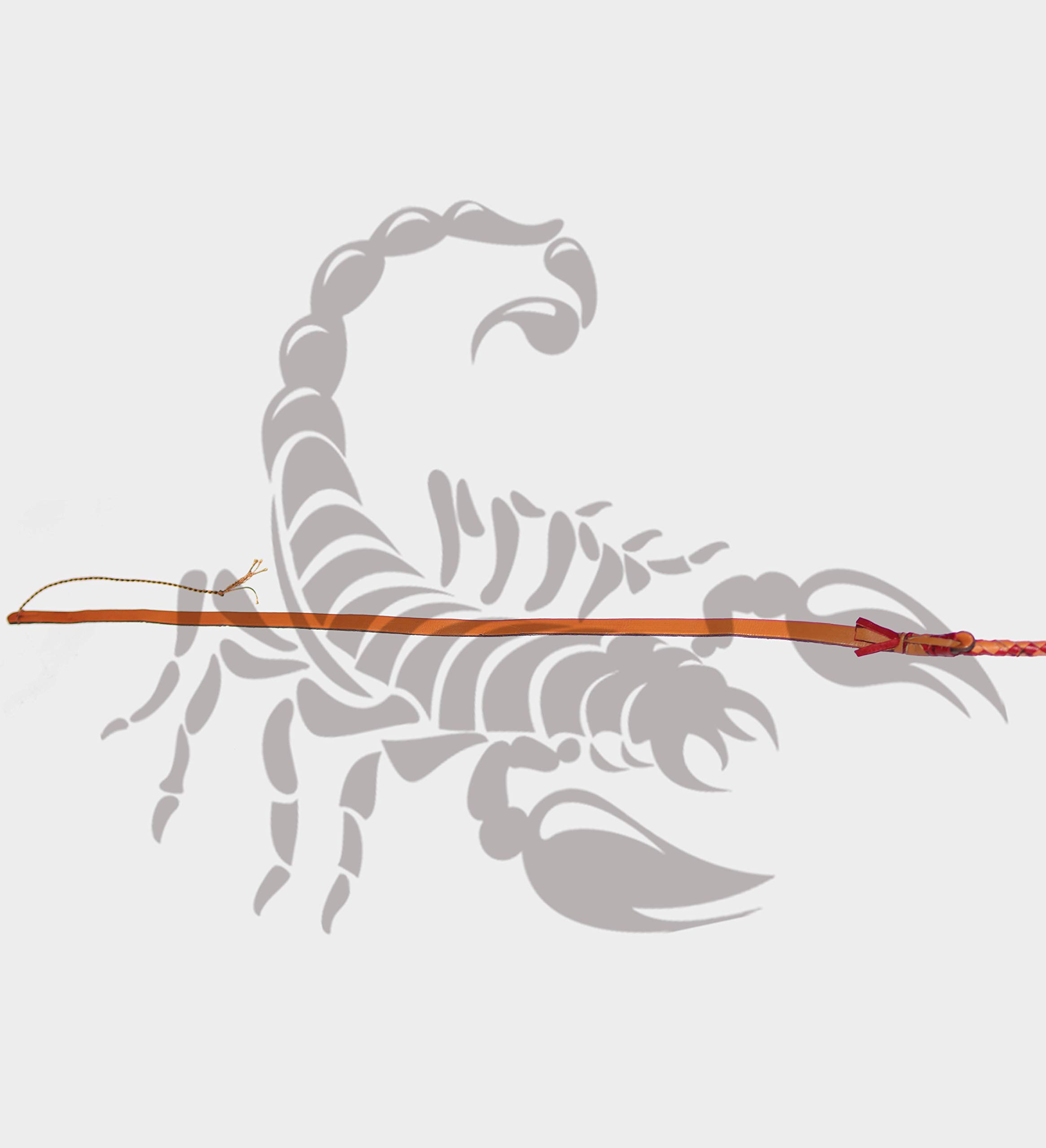 Scorpions Bull Whip 12 Feet, 14 Feet, 16 Feet 12 Strands Real & Genuine Cow Hide Leather Equestrian Handmade Bullwhip Leather Belly & Leather Bolster Inside (Length Available 04 Feet to 16 Feet) (14)