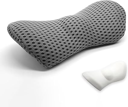 Ergonomic Lumbar Support Cushion,Comfortable Memory Foam Back Support for Office Chair, Lumbar Pillow with Breathable 4D Mesh for Car Seat Back Pain Relief(Grey)