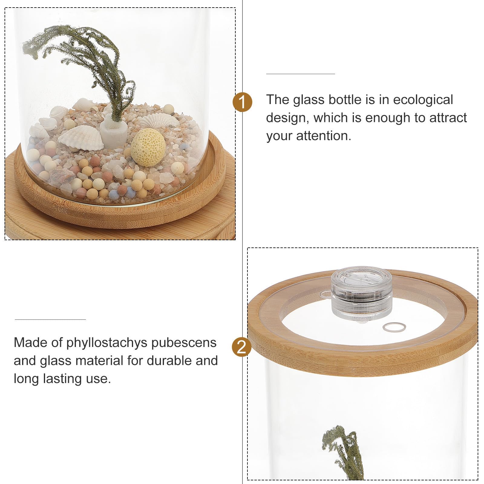 Dekoratives Aquarium für Schreibtisch als Büroaccessoire, Grün