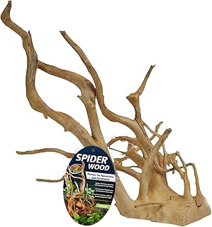 Zoo Med Spider Wood, Medium, Perfect for Aquariums and Terrariums (690855)