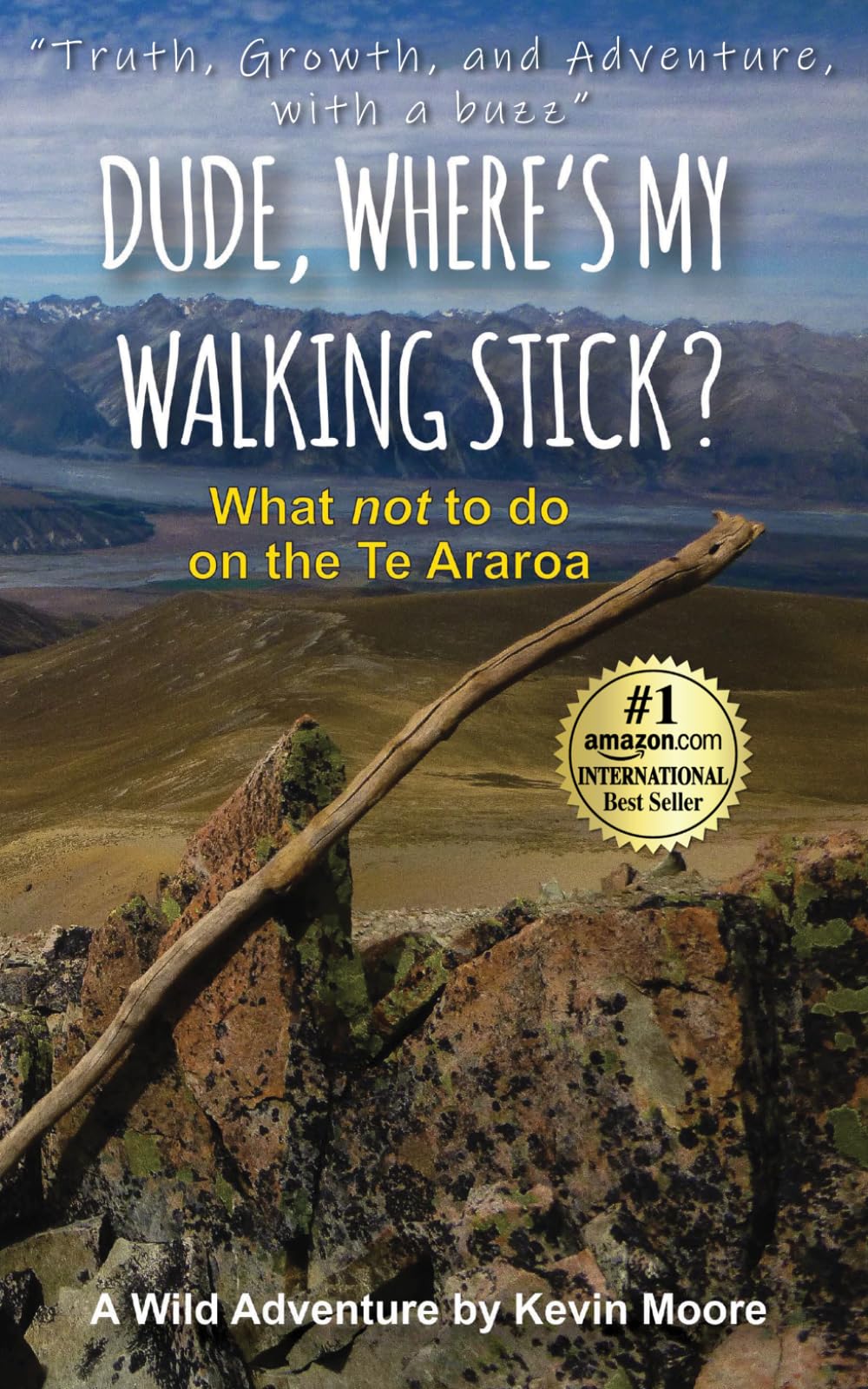 Dude, Where's My Walking Stick?