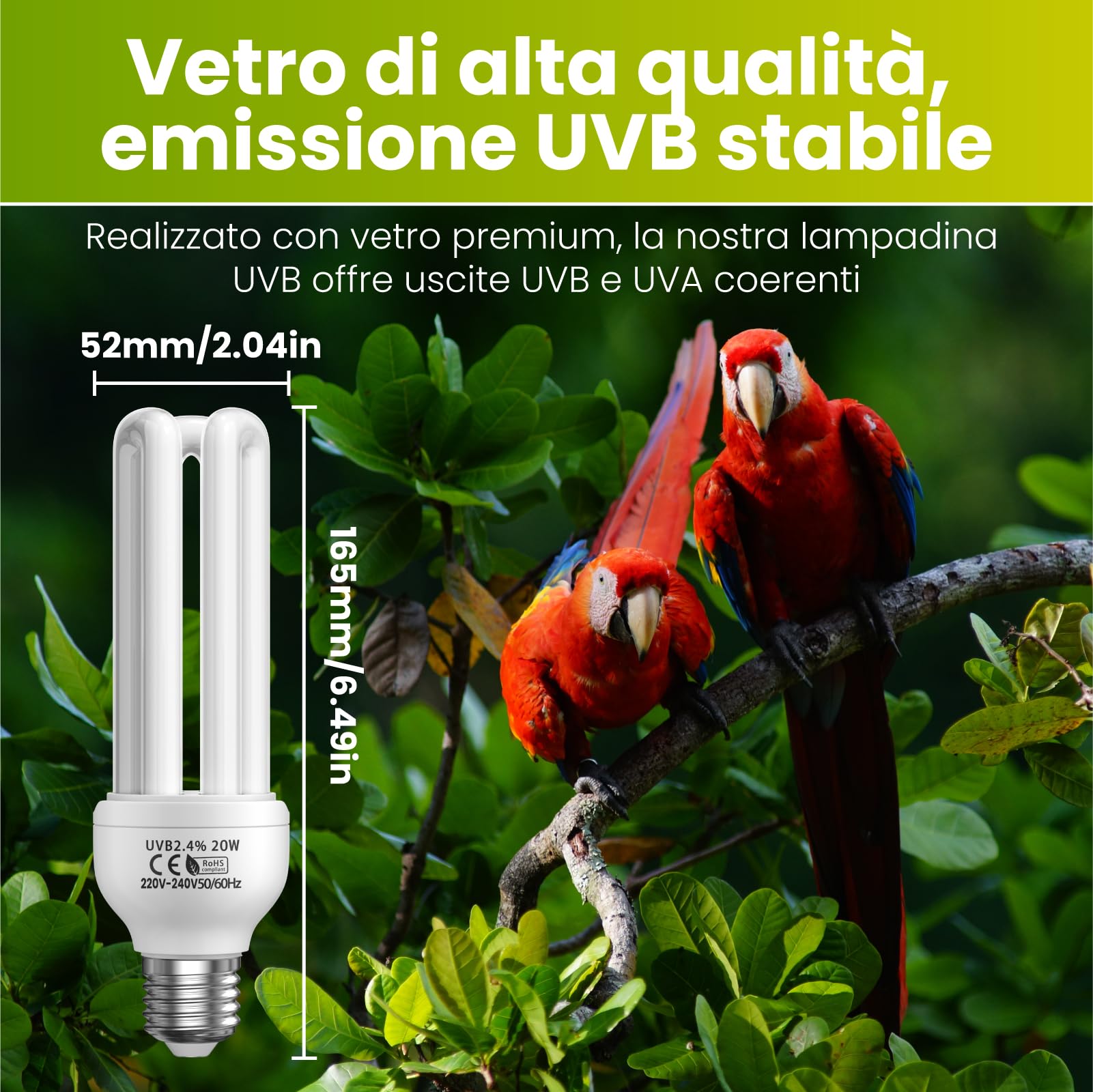 GlowUp UVB 2.4 Lampadina per uccelli, Lampadine UVA UVB da 20W E27 per uccelli, Pappagalli, Rettili