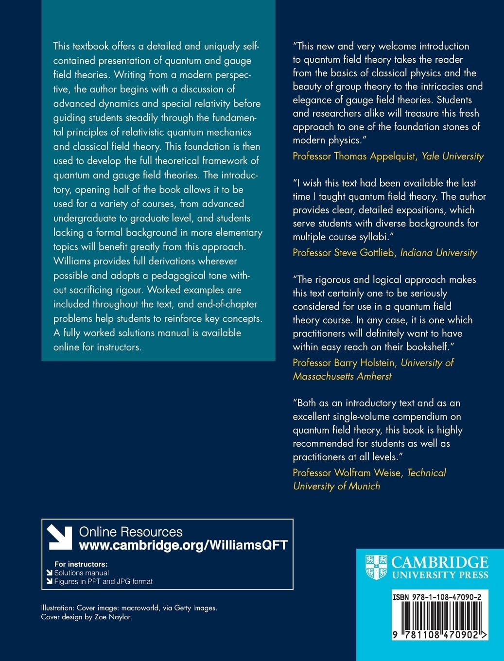 Introduction to Quantum Field Theory: Classical Mechanics to Gauge Field Theories