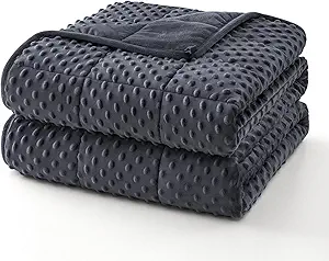 Topcee Weighted Blanket for Adults (20lbs 60"x80"), Minky Dots Heavy Blanket for 190-210lbs Sleeping, Soft, Cozy and Cooling Weighted Throw Blankets, Machine Washable, Grey