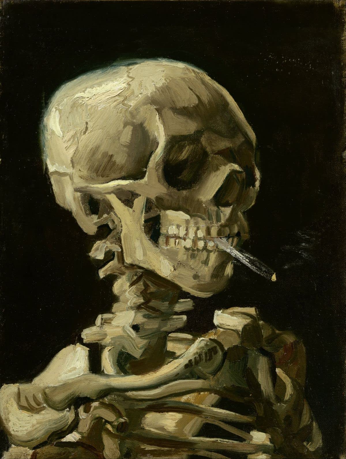 liziciti 5D Diamond Painting Kits Van Gogh for Adults, 12x16in Diamond Art Kits Full Drill Canvas Art Picture DIY for Wall Decor (Smoking Skull)