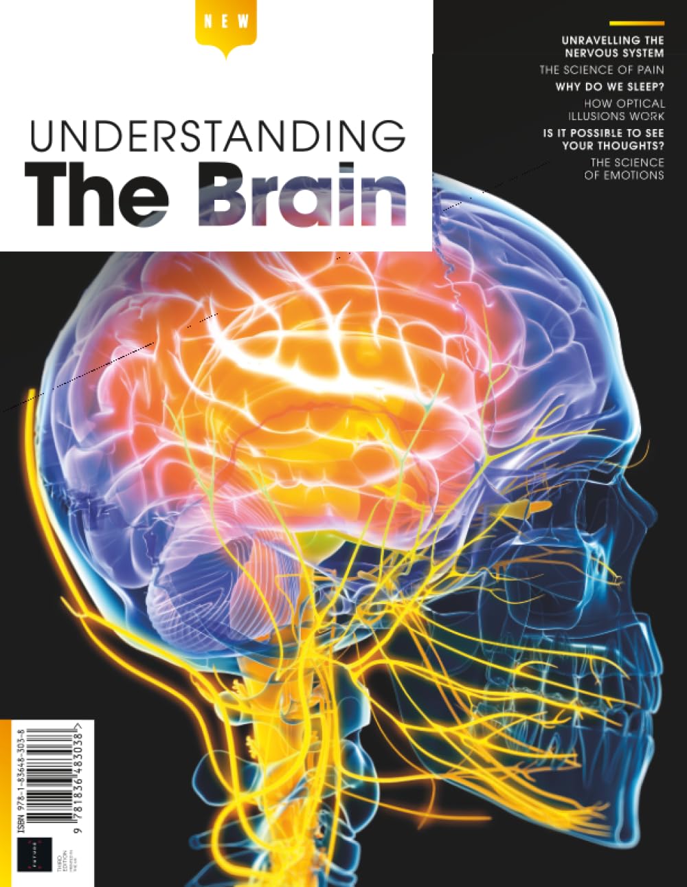 Understanding The Brain: Unravelling The Nervous System